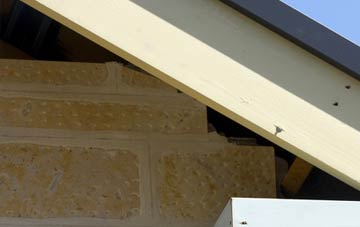 soffit repair Rhynd
